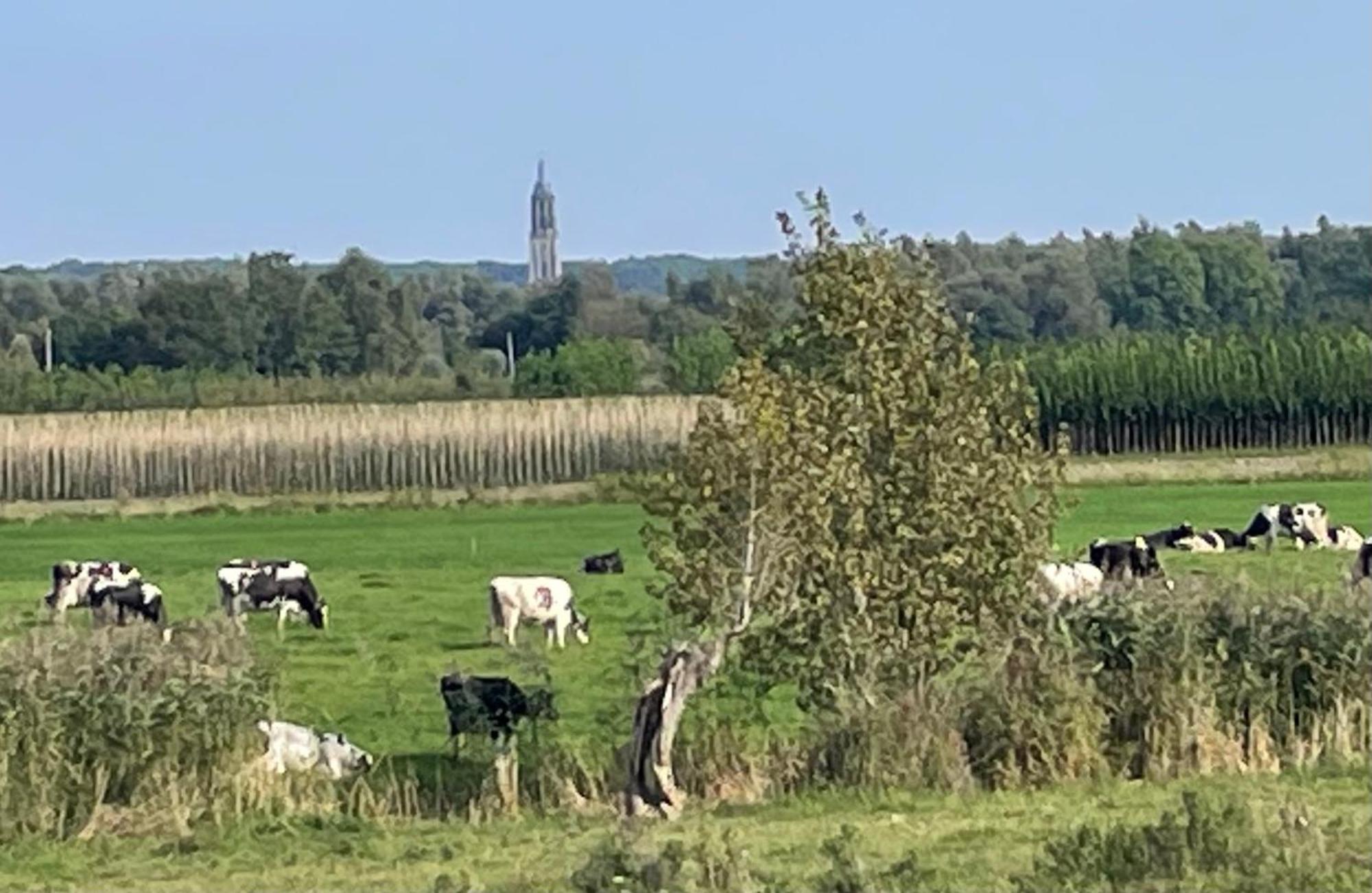 Pipowagen Mamaloe Bed and Breakfast Kesteren Buitenkant foto